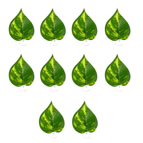 ق̑ȂizJbvtJtȐAlHt̊OϏȐԂ̋̃ANZT[