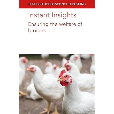 Instant Insights