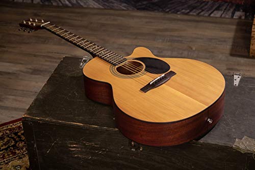 Jasmine S34C NEX Acoustic Guitar,Natural
