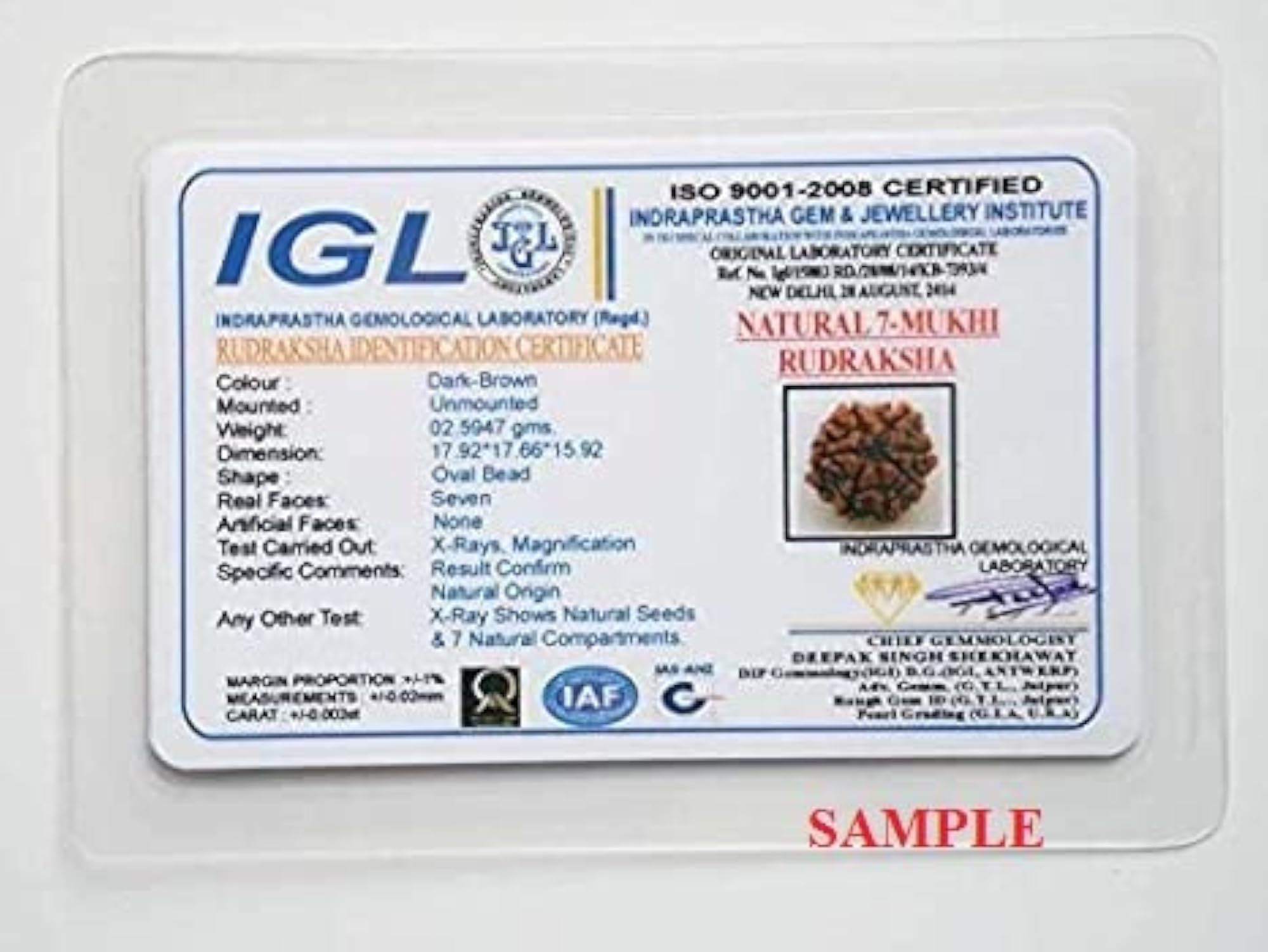 7 Mukhi Rudraksha Original Certified Nepal Bead, Unisex