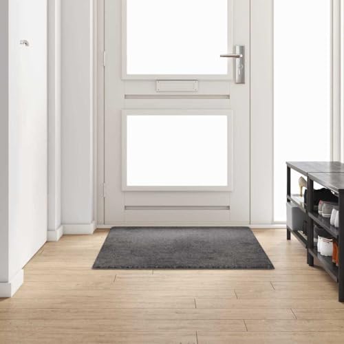 Alfombra de pasillo gris 100 x 150 cm atrapa suciedad texturizada moderna 2