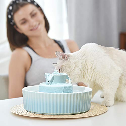 Image of 360 Ceramic Pet Fountain, Advanced Porcelain Cat Water Fountain, 70 oz.Drinking Fountains Bowl for Cat and Dogs with Replacement Filters and Foam (Green Blue)