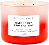 T & H Citronella Candles Outdoor Indoor 3-Wick Soy Scented Candles for Aromatherapy Stress Relief 75 Hour Burn
