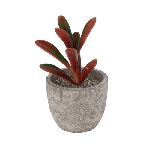 KJOET tFCNO[ CeAO[ A lH bsv  ~j A  킢  fXN oX[ Lb` Type 1