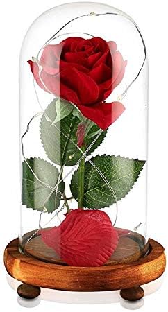 HengInMax Beauty and The Beast Rose, Red Silk Rose and LED Light with Fallen Petals in Glass Dome on a Wooden Base, Great Gift for Her - Holiday Birthday Party Wedding Anniversary Valentine's Day