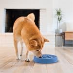 Outward Hound Fun Feeder Slo Bowl – Medium 2‑Cup Capacity, Slow Feeding, Small to Medium Dogs & Cats, Non-Slip, Blue, Notch Pattern - Image 6
