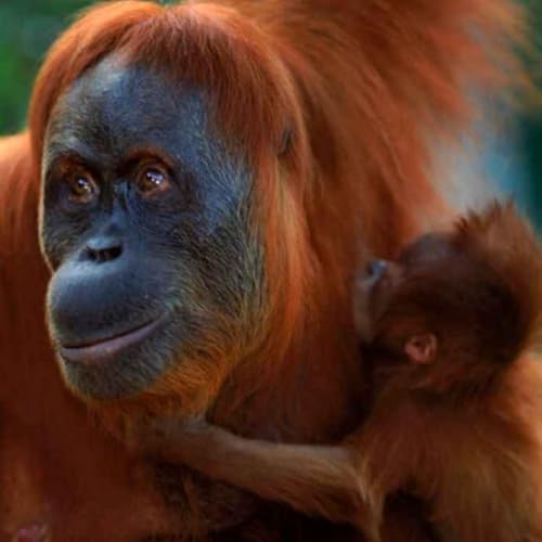 Episode 207: Small Doses of Powerful Inspiration