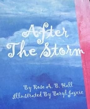 Hardcover After The Storm Book