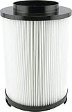 Baldwin Filters PA4173 Air Filter (5-27/32 x 8-5/8 in.)