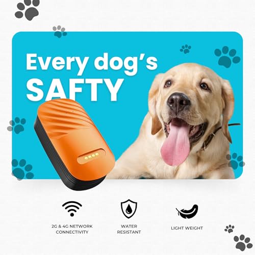 Image of FETACA Smart 4G Pet GPS Tracker Free 12 Month 4G Data SIM and App Subscription for Dogs, Adult Cats, and Other Animals | Real-Time Tracking with Geo-Fencing and Alerts | Lightweight Design