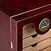 Woodronic Cigar Humidor Cabinet for 50-100 Cigars with Humidifier and Hygrometer, Spanish Cedar Lined Trays and Dividers, Rosewood Finish, Gift for Men