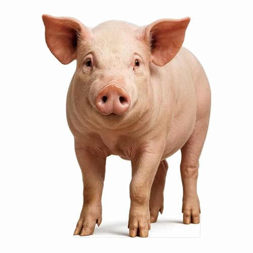 Pig Cardboard Cutout 3 Feet – Life-Size Realistic Animal Standee for Parties, Events & Classroom Displays