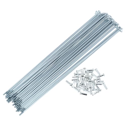 TUCKBOLD Raggi per Bicicletta 13G, Raggi per Ruota di Bicicletta, Nippli Color Argento, 1 Set, Acciaio Zincato 45 253mm