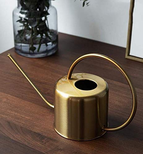 Gießkanne 2000ml Edelstahl Metall Blumengießkanne Gold Giesskanne Gartengießkanne Mit Langen Hals für Familie Büro Topfpflanzen Bonsai.2L