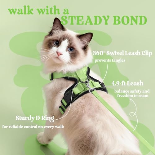 Image of rabbitgoo Cat Harness and Leash Set, Escape Proof Vest, Light Green | Soft Breathable Mesh, Easy Adjustable Fit, Snap Buckles, Sturdy Clip, Reflective Strips, for Medium to Large Cats Walks, M