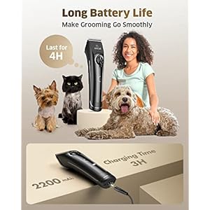 Oneisall dog clippers for grooming doodles poodles thick curly hairlow noise heavy duty dog grooming kit with detachable metal blades   cucciolini doodles