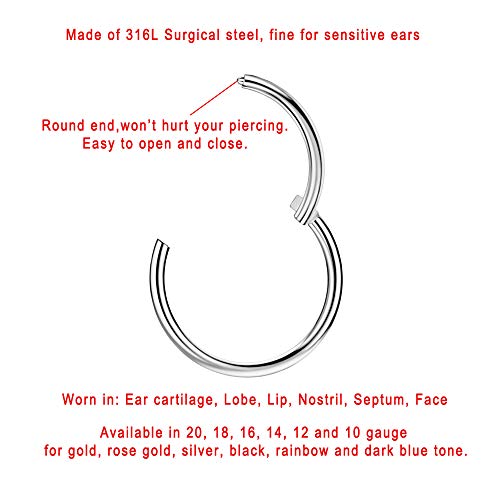 Image of FANSING Men Women 316L Surgical Steel Hinged Nose Rings Hoop for Nostril Septum Cartilage Helix Daith Tragus Rook Conch Lip Ear Lobe Piercings
