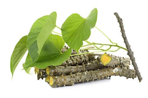 JadiButi Store Fresh Neem Giloy Sticks Set of 12 (6"