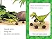 Squeak Seeks!: Ready-to-Read Level 1 (Dinosaur Roar!)