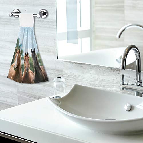 Staytop Cloudy Tree Horse Hand Towels Set Of 2, Soft And Fast Absorbent Hanging Towels With Magic Stickers For Kitchen, Bathroom Laundryroom 12X17In #TOP6