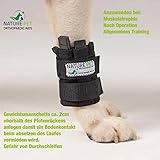 Nature Pet Hund Gewichtsmanschette & Therapiebandage – Muskelaufbau, Reha & Physiotherapie für Hunde | Wasserfest, verstellbar & für Unterwasserlaufband geeignet (XL)