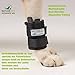 Nature Pet Hund Gewichtsmanschette & Therapiebandage – Muskelaufbau, Reha & Physiotherapie für Hunde | Wasserfest, verstellbar & für Unterwasserlaufband geeignet (XL)