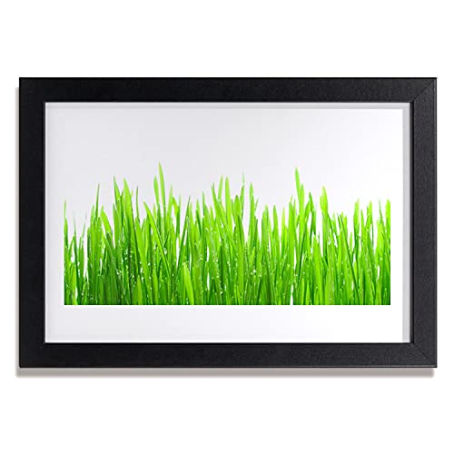 Affiche encadrée nature 30x20 cm pour une déco murale zen dans votre salon