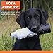HuntEmUp Tri-Pack (6) 2-Inch Plastic Dog Bumpers with Throw Ropes - Weighted Retrieving Dummies for Dogs - Includes 2 White, 2 Orange, and 2 Black/White Bumpers