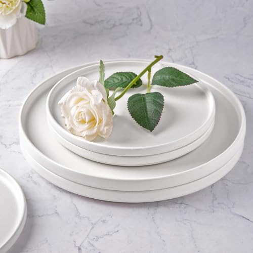 Amorarc ASP502 Ceramic Dinner Salad Plates Set Of 4 thumb #7