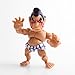The Loyal Subjects Street Fighter Wave 1 Action Figure Blind Box Standard