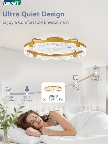 Image of LEDIARY 2-Pack 24 inch Ceiling Fans with Lights, APP & Remote, Gold