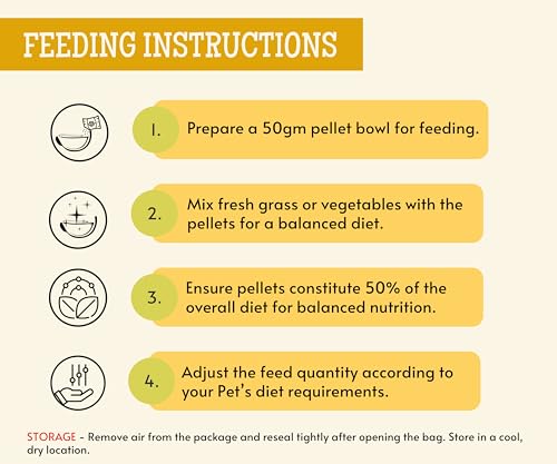 Image of Foodie Puppies Premium Hamster Food Pellets Highly Nutritious Diet Essential Ingredients for a Healthy and Active Lifestyle for Your Hamster (Pouch - Hamster Food, 500g)