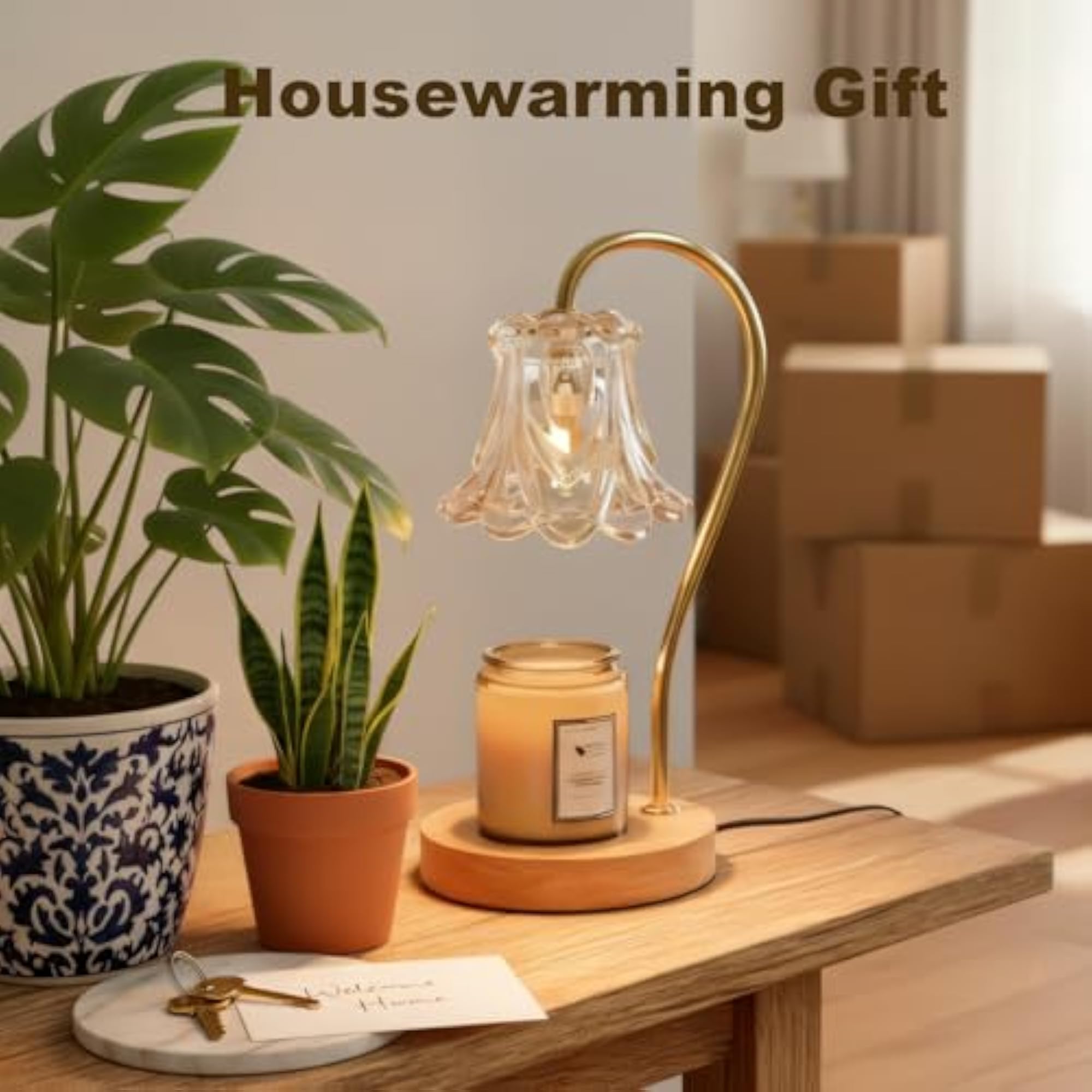 Dimmable Candle Warmer Lamp with Timer and 2 Bulbs