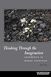 Thinking Through the Imagination: Aesthetics in Human Cognition (American Philosophy)
