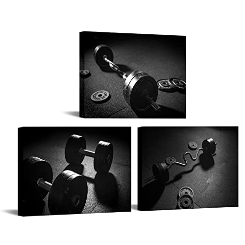 Biuteawal 3 Piece Black White Wall Art Gym Picture Modular