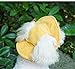 Selena Dog Hat Sun Protection Puppy Fisherman Hat Cute Cat Kitten Costume Kawaii Pet Apparel (Large,Yellow)