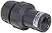 Plast-O-Matic VBM Series PVC Vacuum Breaker Valve, For Corrosive and Ultra-Pure Liquids, , 1" NPT Female