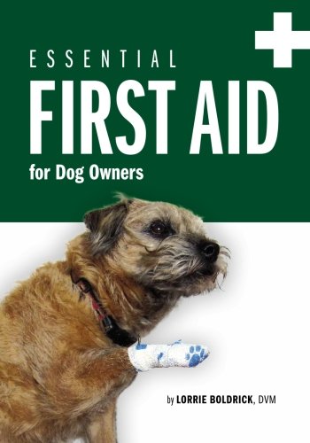 Essential First Aid for Dog Owners