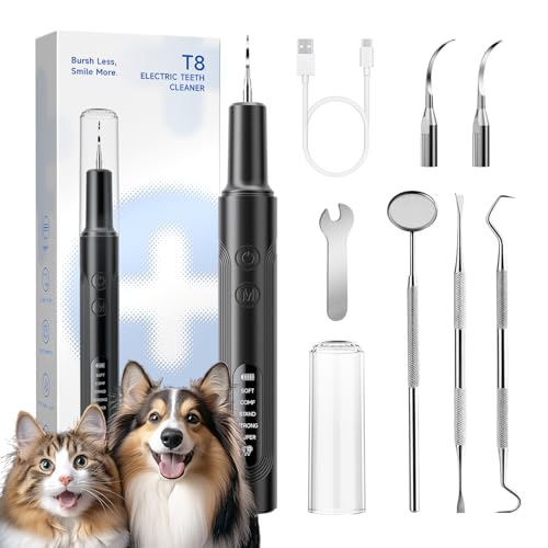Dents jaunes de l'animal ? Kit nettoyage plaque dentaire pour chien avec 5 modes LED