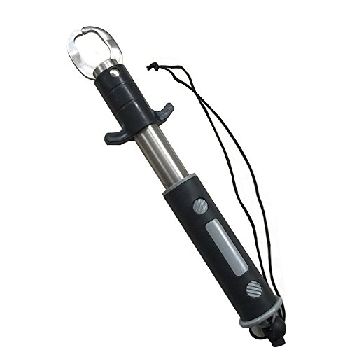 TOPIND Professional Stainless Fishing Steel Straight with Scales Folder Fish