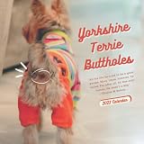  Yorkshire Terrie Buttholes Calendar: Special Funny Gag Calendar 2022 2023 - Great Gifts for Adults