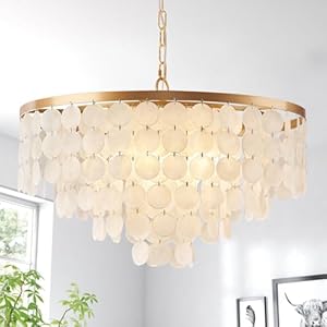 24″ Capiz Shell Chandelier, 5 Light Gold Dining Room Light Fixture Modern Coastal Chandeliers for Bedroom Bathroom Kitchen and Foyer(White Seashell Lighting Fixtures)