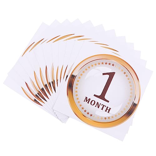 Toyvian 1 Zbg xr[XebJ[ xr[}CXg[f Aj[V _ XebJ[ q