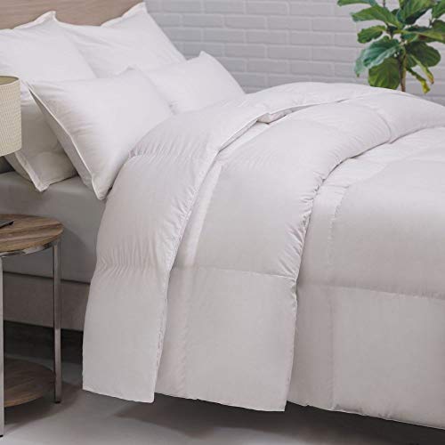 Best Cotton Filled Comforter
