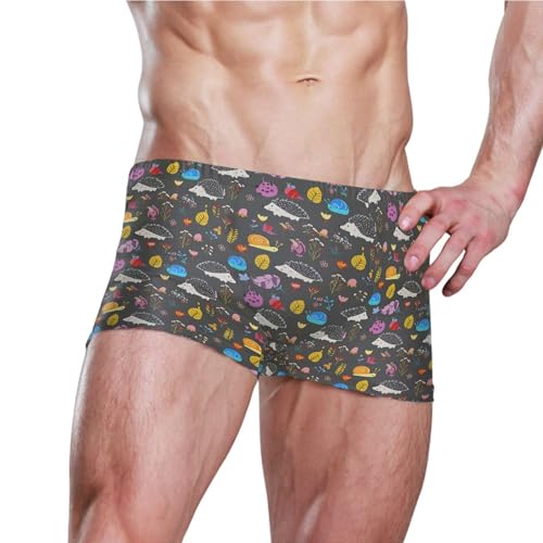 Cute Hedgehogs Mens Swim Trunk Swimwear Bathing Suit Swim Brief Square Leg Board Short S B04049373