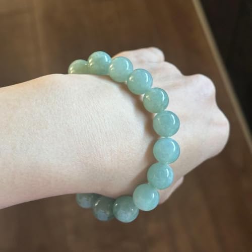 ~}[Y VR{Ő A uXbg X 嗱 Ӓ菑t