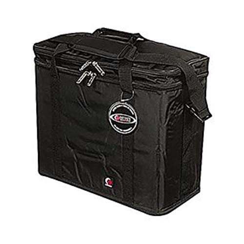 Amazon.com: Odyssey Innovative Designs: Rack Style Bags