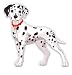 GT Graphics Dalmatian Cute - 3