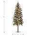 National Tree Company lit Artificial Christmas Tree Includes Pre-strung White Lights and Stand, Hickory Cedar Slim-5 ft