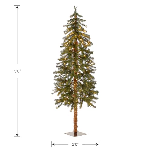 National-Tree-Company-lit-Artificial-Christmas-Tree-Includes-Pre-strung-White-Lights-and-Stand-Hickory-Cedar-Slim-5-ft National Tree Company lit Artificial Christmas Tree Includes Pre strung White Lights and Stand Hickory Cedar Slim 5 ft